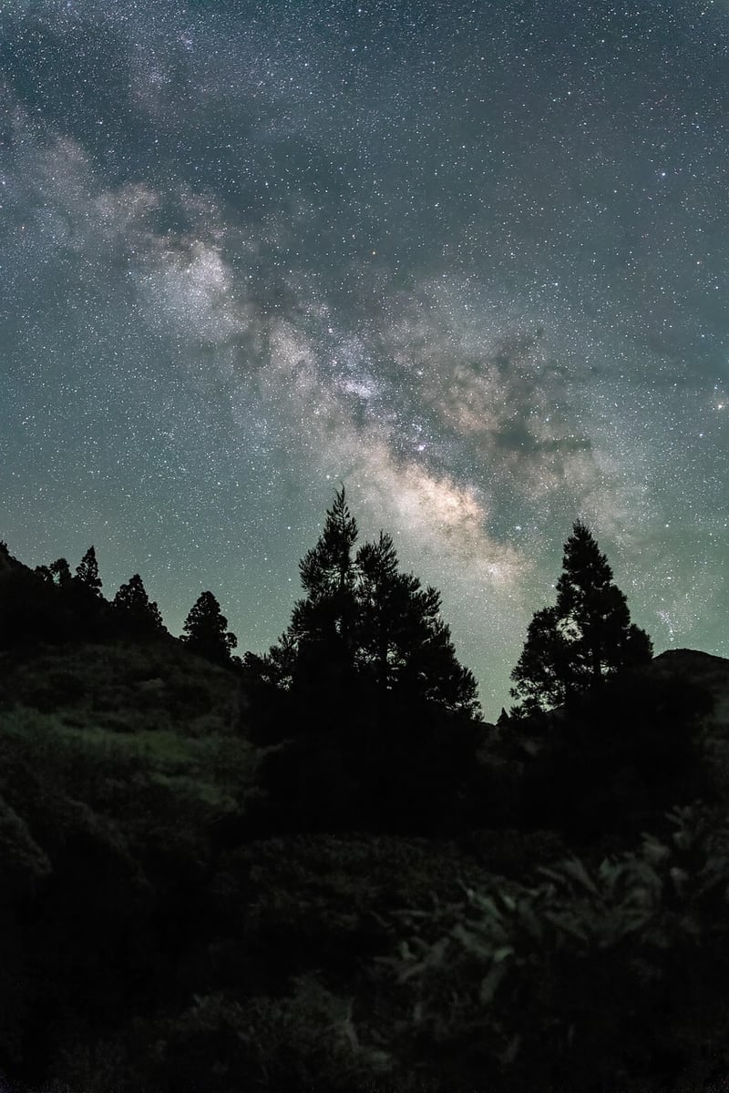 Milky Way Wedding